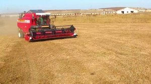 комбайны и фазаны 3