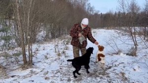 Один день с охотоведом в Сафари-парке. Часть 4