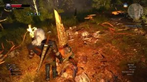 The Witcher 3 🏹🛡️ – КАК СОБРАТЬ ЛУЧШИЕ ВЕДЬМАЧЬИ ДОСПЕХИ