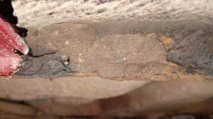 Замена крыльев на Сеат Кордоба часть2.