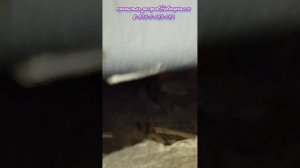 Не съёмный поддон