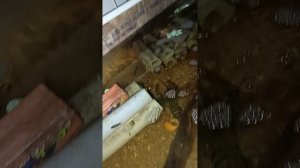 Прошло три месяца после запуска УЗВ!
Ферма Журчащего ручья(The Red Claw)австралийского рака