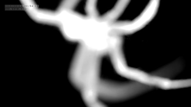 Вебкамера "Партенит-Сальвадор". Запись 14.09.2016 21:00:16 смотреть онлайн