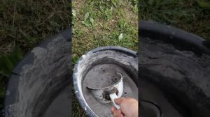 ПОДКОРМКА ЗОЛОЙ ОЗИМОГО ЧЕСНОКА ЗА МЕСЯЦ ДО ВЫКОПКИ. 25 06 2023.