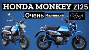 HONDA MONKEY Z 125 
Очень Краткий обзор