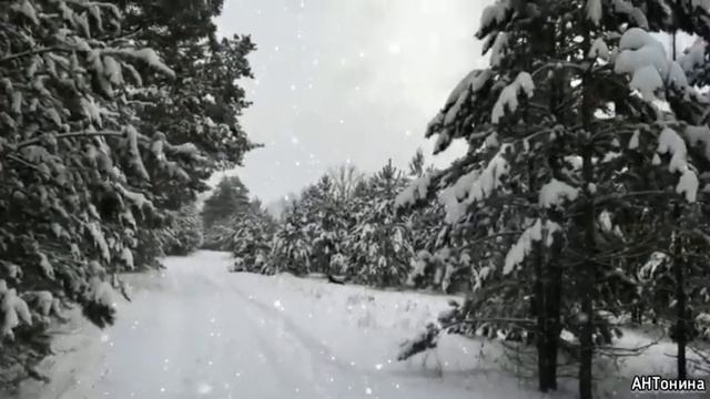 Снегопад в лесу смотреть онлайн