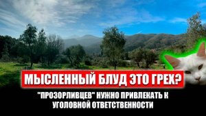 Псевдостарцы. Осуждение патриарха. Священники-блогеры. Прогонять жену, если не выдерживаю ее грехи?