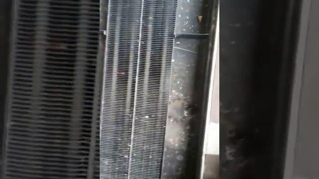 ТСН "Дубровская слобода" Наводит порядок в доме смотреть онлайн