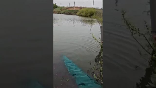 1 мая 2024 г. смотреть онлайн