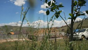 лучшая теплица