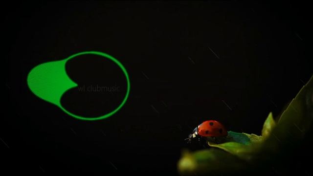  New Heights Ragga Jungle Drum and Bass mix