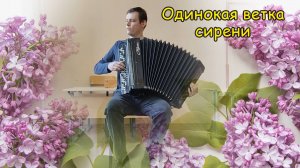 Одинокая ветка сирени. Импровизация-порыв на баяне от Котова Саши.