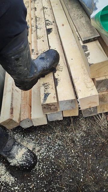 электро бензопила  неожиданно хорошая штука  прям бодро пилит .