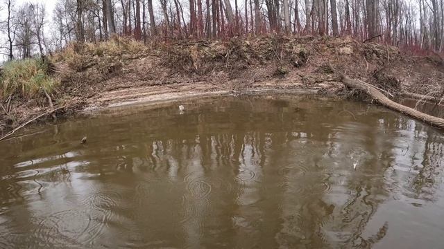 🎣ЕСТЬ ОНА🎣#топыкатегорий#fishing#рыбалка#carpfishing#природа #туризм#ловля#отдых#ловлящуки#природа