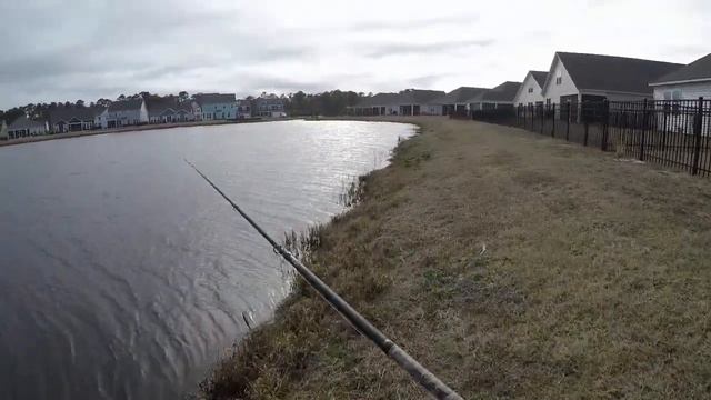 Start of the NC Bass Pre Spawn!! смотреть онлайн