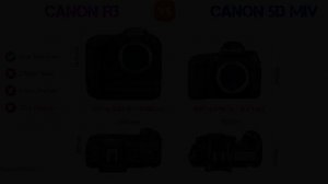 Canon EOS R3 Size Comparison with 20 Most Popular Competitor Cameras