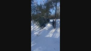 Всесезонная техника от Медведь Тюмень