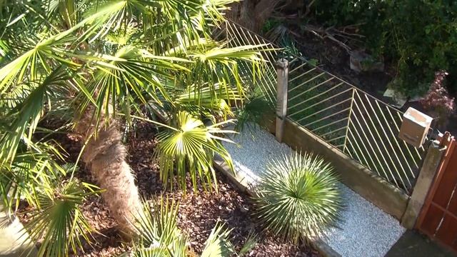 Fentről 2015. 10. 22. смотреть онлайн