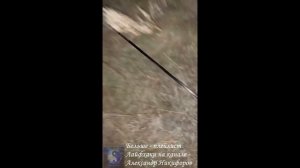 Рыбалка. Отлично проводят время мужики