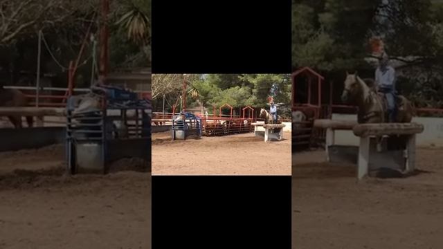 The Rope Horse Sale Hip #61 SB El Discipulo “Amigo” смотреть онлайн