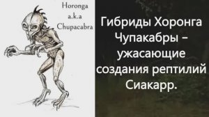 Чупакабра - гибриды, созданные рептилоидами в качестве рабов.