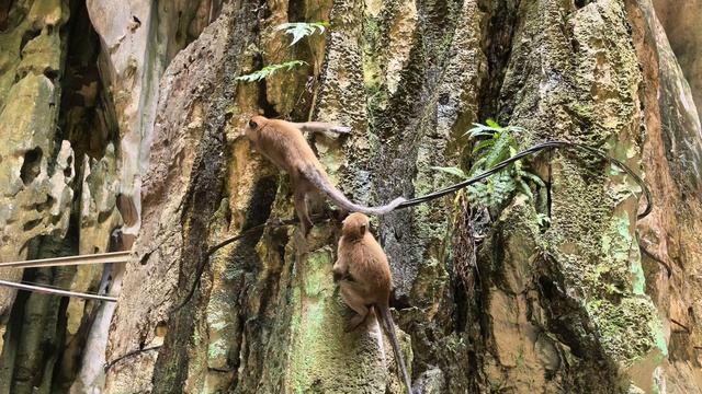 Huawei Mate 70 Pro: тест видеосъёмки смотреть онлайн