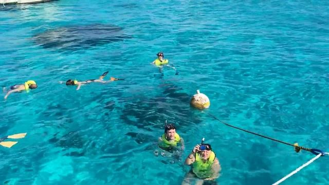 Grand Cayman Islands - Sting Ray City - Disney Cruise Line Excursion Preview смотреть онлайн
