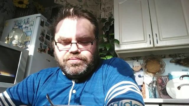 8 июня 2023. День Петербургских котов. смотреть онлайн