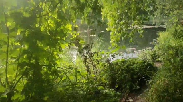 ✅РАЗВОЖУ КАРАСЯ 🐟🐟🐟 смотреть онлайн