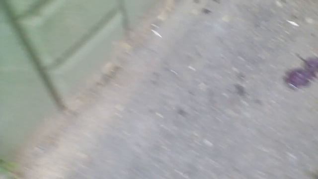 Скинули лизуна с балкона часть 3 смотреть онлайн