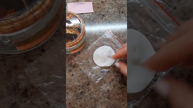 Выращивание ЛИМОНА из косточки в ДОМАШНИХ условиях. Эксперимент. Часть 1.