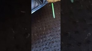 Посев первой рассады табака