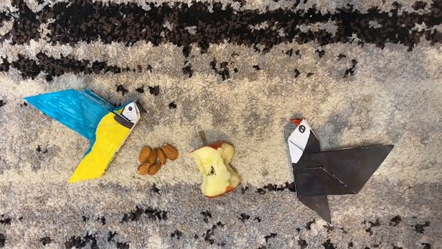 Toucan and Macaw by Anna Filin (6 yo) смотреть онлайн