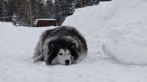 Хабаровский край. Озеро Амут, гора Лысая