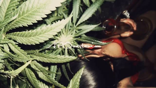 Растафарянка смотреть онлайн