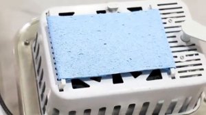 Small Egg incubator Easy Bator 6