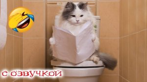 ПРИКОЛЫ С КОТАМИ! Самая смешная озвучка животных! РЖАКА ДО СЛЁЗ!