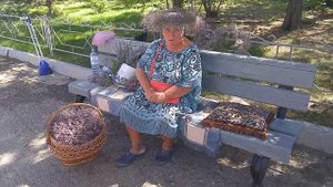 Баба Люба из Коктебеля. Целительница. Целебная трава. Вся правда!