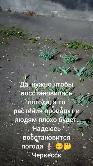 У кого нет цели, тот не находит радости ни в каком занятии.

Д. Леопарди
➖➖➖➖➖➖➖➖➖
Елена Митрофанова