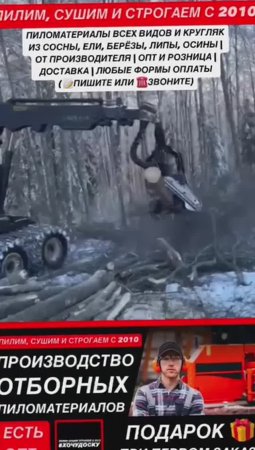 Промо ролик о Компании ПИЛОРАМА #ХОЧУДОСКУ №11