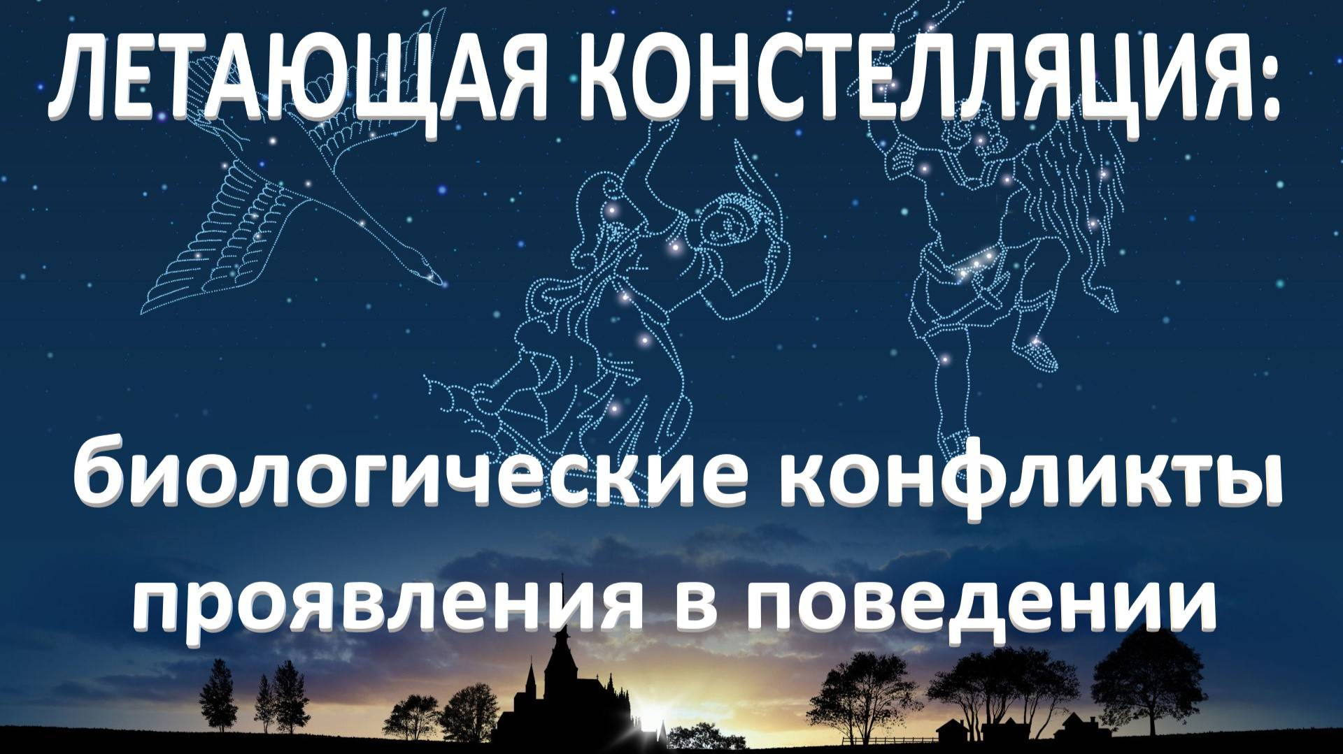 Летающая констелляция в ГНМ: биологические конфликты, проявления в поведении_15.03.2025_Часть 1