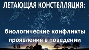 Летающая констелляция в ГНМ: биологические конфликты, проявления в поведении_15.03.2025_Часть 1
