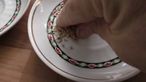 О посеве помидоров на рассаду