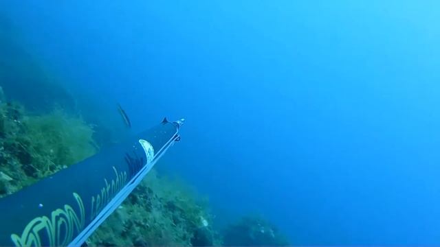 Mix Barracuda con LG Manilù Revolution 102 HD смотреть онлайн