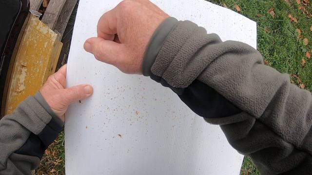 Пчеловодство, Варроатоз поздняя осень. смотреть онлайн