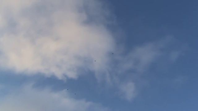 Голуби Курахово. 3.01.2018. Олег Сороков. смотреть онлайн