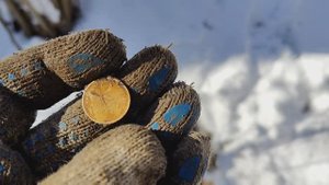 Подснежный поиск монет. Снежный март 2025
