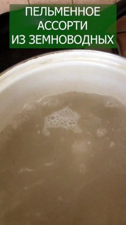 Не лягушки и не крабы, а пельмени в форме жабы 🐸🦀🐊