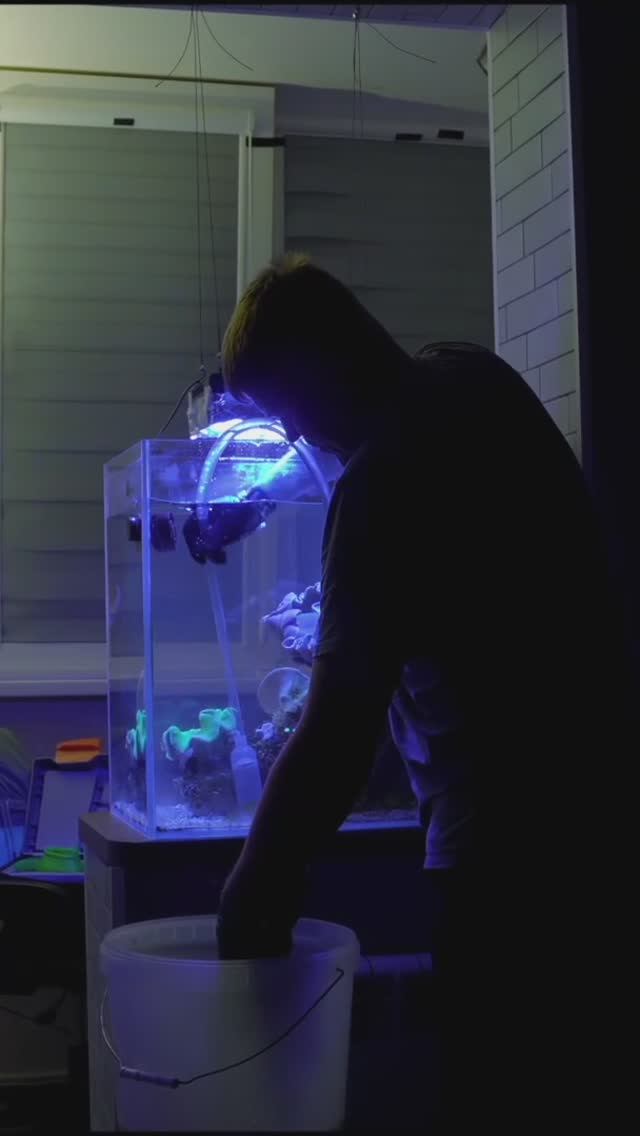 Как выбрать материалы для аквариума? смотреть онлайн