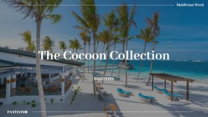 Вебинар с отелями The Cocoon Collection